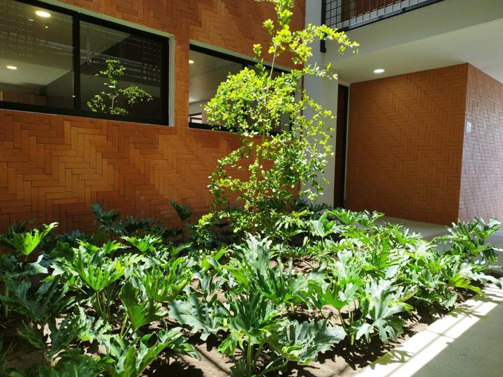 Jardín interior junto al ladrillo en espiga